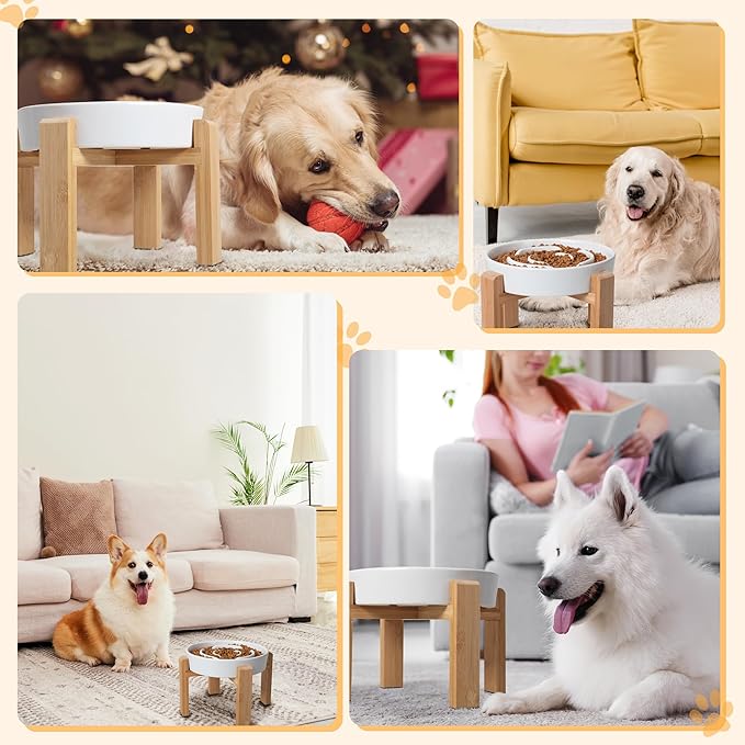 Elevated Slow Feeder Dog Bowl - Ceramic Food Dish with Bamboo Stand - Raised Maze Design - Ideal for Medium to Large Dogs - White - 8.8 inch