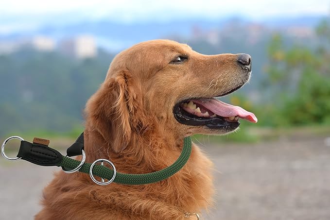 Braided Round Martingale Dog Collar, Training Collar with Slidable Stop Ring - Ideal for Medium/Large Dogs (M+(1/2") - 18" Long, Dark Green)