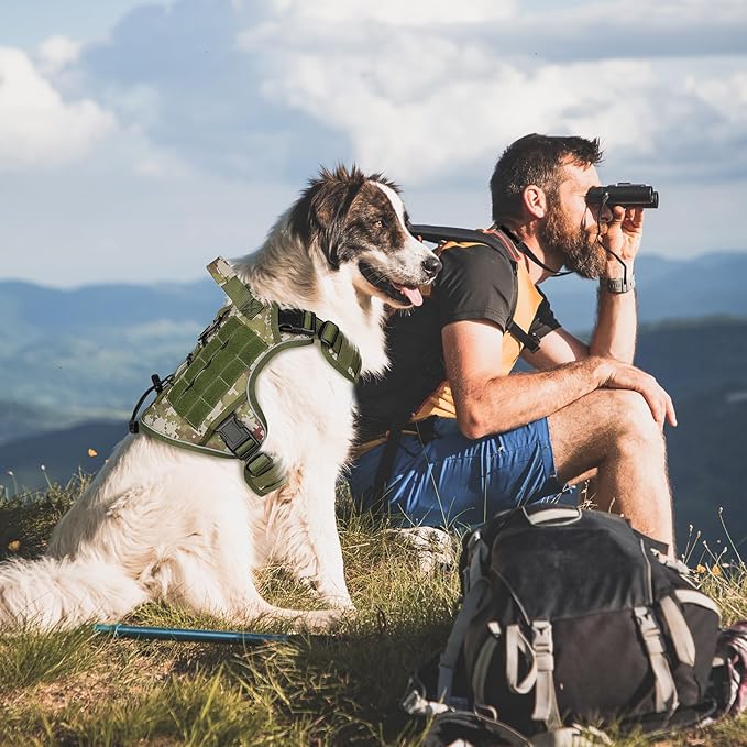 WINGOIN Tactical Dog Harness for Extra Large Dogs, Heavy Duty No Pull Dog Harness with Handle, Adjustable Reflective Military K9 Big Dog Vest for Great Dane, Walking, Hunting, Green Camo (XXL)