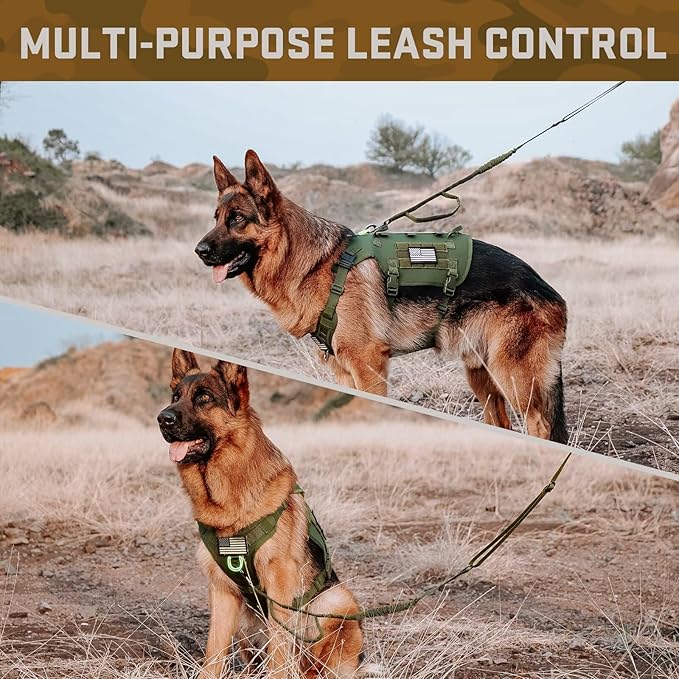 Forestpaw Tactical Dog Harness for Large Dogs,Tactical Dog Collar with Bungee Leash Set,No Pull Military Dog Harness for Walking Training,Adjustable for Medium Large Dogs,Green,Chest 21.5-45"