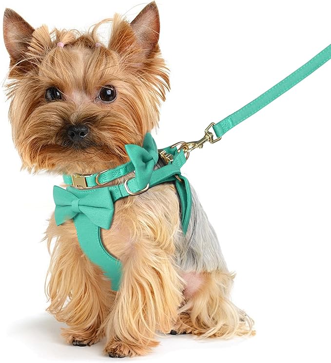 Beirui Cute XXS Dog Harness Set with Three Detachable Bows, Adjustable Step in Dog Harness Collar and Leash Set with Secure Metal Buckle for Daily Walking, Parties & Holiday Outfits(Teal,XXS)