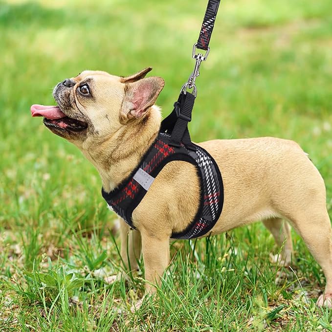 PUPTECK Dog Harness and Leash Set for Small Medium Dogs No Pull Step-in Soft Mesh Puppy Cat Vest Harnesses Reflective at Night, Plaid Pattern Black XS
