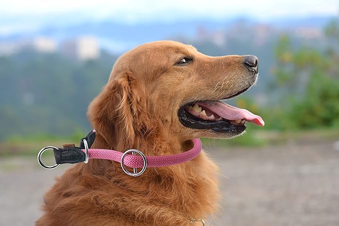 Braided Round Martingale Dog Collar, Training Collar with Slidable Stop Ring - Ideal for Medium/Large Dogs (M+(1/2") - 18" Long, Pink)