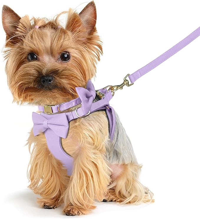 Beirui Cute XXS Dog Harness Set with Three Detachable Bows, Adjustable Step in Dog Harness Collar and Leash Set with Secure Metal Buckle for Daily Walking, Parties & Holiday Outfits(Purple,XXS)