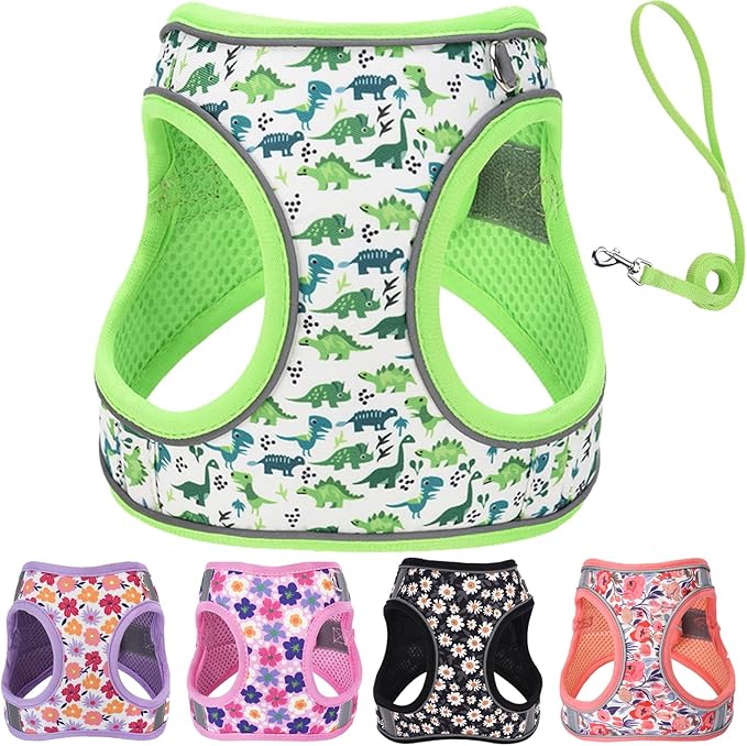 XXS Dog Harness and Leash Set, Step in Dog Harness No Pull for Walking Running Training, Puppy Essentials for Dogs Cat Bunny, Adjustable Reflective Dog Vest Harness. (Green, XXS)