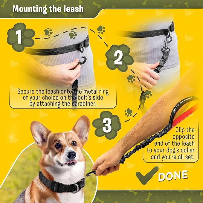 Exquisite Hands-Free Leash for Medium Dogs: Ultimate Comfort & Freedom for Running, Walking, Hiking. Premium Quality, Durable & Versatile Waist Dog Leash Belt. Your Dog Will Love It