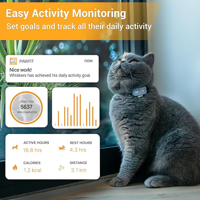 Pawfit Lite for Cats 4g GPS Tracker | Real Time Tracking | Activity Monitoring |Location History | Unlimited Range | Safety Collar Included | Simply White