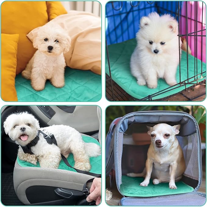 4 Pack Self Heating Cat Pad Self Warming Dog Mat Reflects Body Heat Extra Warm Thermal Pet Pad Washable Dog Cat Bed Crate Bed Mat Blanket (16 x 20 Inch,Mint Blue)