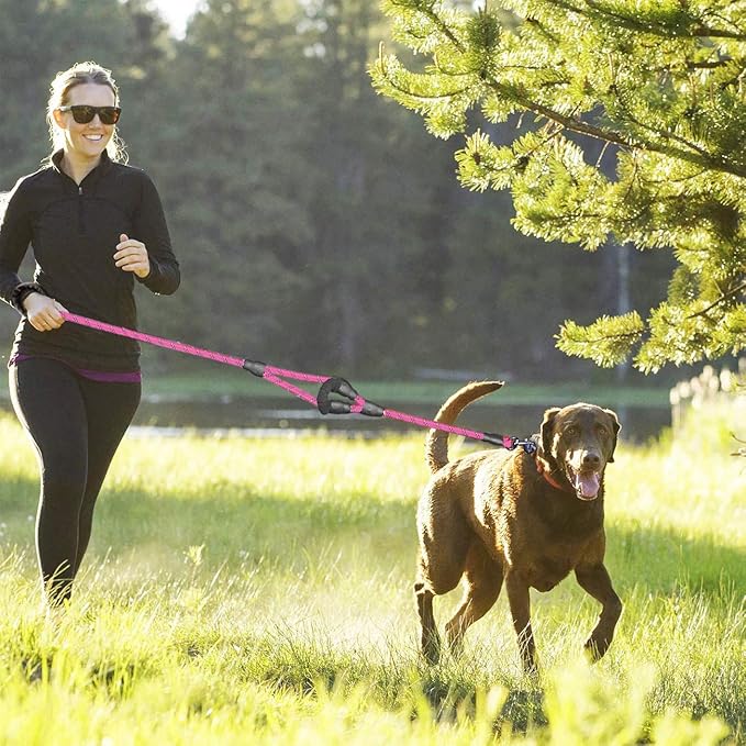 JSXD 5 FT Heavy Duty Double Handle Dog Leash with Comfortable Padded and Reflective Rope, for Small, Medium, Large Dogs (Rope-Pink)