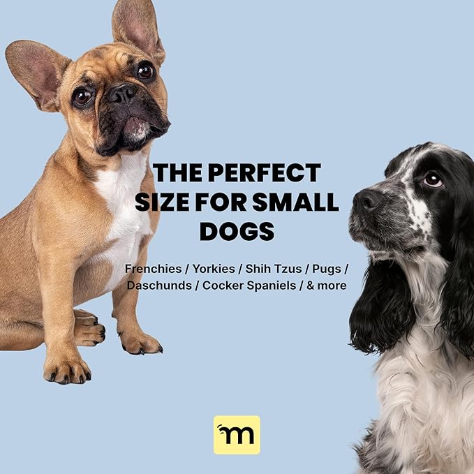 Malsipree 2-in-1 Portable Dog Water Bottle & Bowl for Small Dogs - Leak Proof & Insulating - Travel Water Dispenser - Stainless Steel Bottle & Silicone Bowl - Walking & Hiking (10 fl oz, Black)