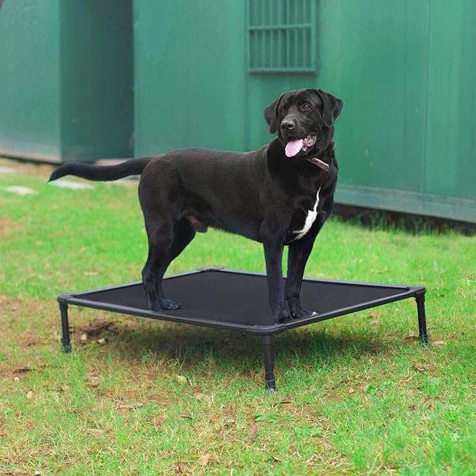 Veehoo Chew Proof Elevated Dog Bed - Cooling Raised Pet Cot - Rustless Aluminum Frame and Durable Textilene Mesh Fabric, Unique Designed No-Slip Feet for Indoor or Outdoor Use, Black, Large, CWC2002