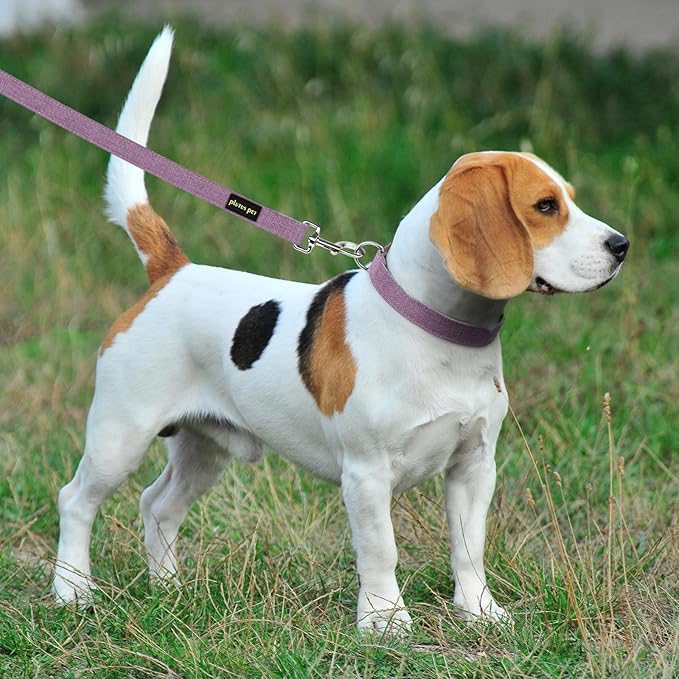 Plutus Pet Cotton Hemp Dog Collar and Leash Set, Adjustable Collar for Small, Medium, and Large Dogs, Heavy Duty and Soft on Skin, Lavender, L