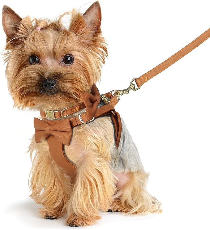 Beirui Cute XXS Dog Harness Set with Three Detachable Bows, Adjustable Step in Dog Harness Collar and Leash Set with Secure Metal Buckle for Daily Walking, Parties & Holiday Outfits(Brown,XXS)