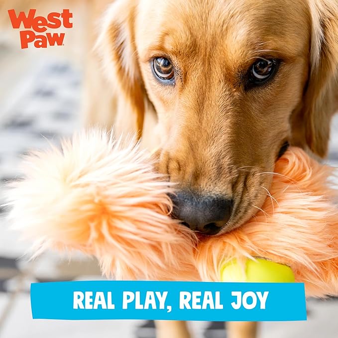 WEST PAW Rowdies Olaf Durable Plush Dog Toy with Reinforced HardyTex Fabric Hand Sewn Seams and Engaging Squeaker for Chewers and Cuddlers - Seafoam