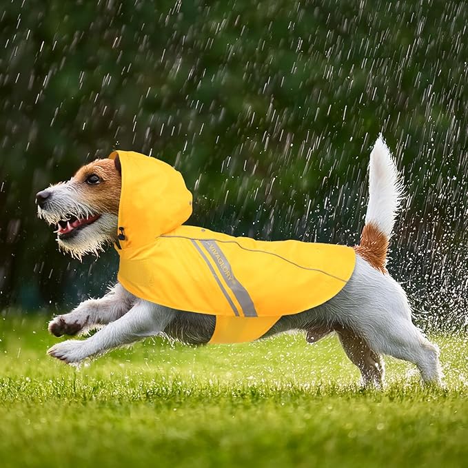 VIVAGLORY Wetoff Dog Raincoat, Rain Coat for Dog All Seasons Adventure, Rain Jacket with Harness Hole & Hood, Reflective Lightweight Waterproof for Doggy & Puppy, S, Yellow