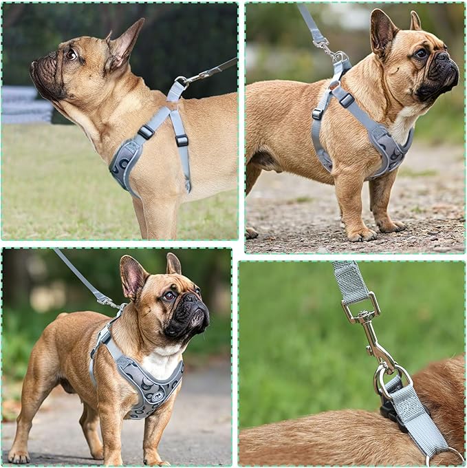 Dog Harness with Leash Set, No Pull Adjustable Step in Dog Harness Vest Harness for Large Dogs Training and Running (L, Gray with Circle)
