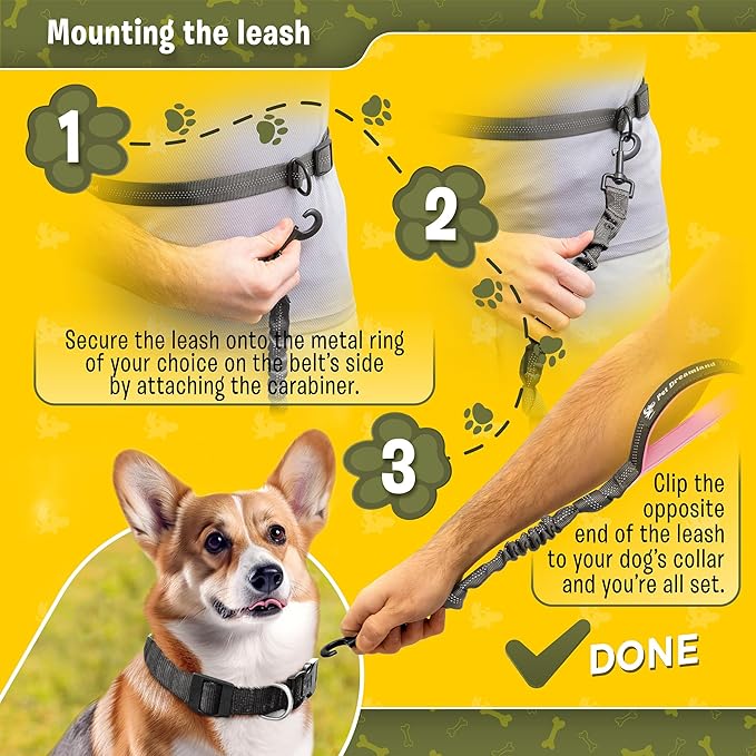 Exquisite Hands-Free Leash for Medium Dogs: Ultimate Comfort & Freedom for Running, Walking, Hiking. Premium Quality, Durable & Versatile Waist Dog Leash Belt. Your Dog Will Love It