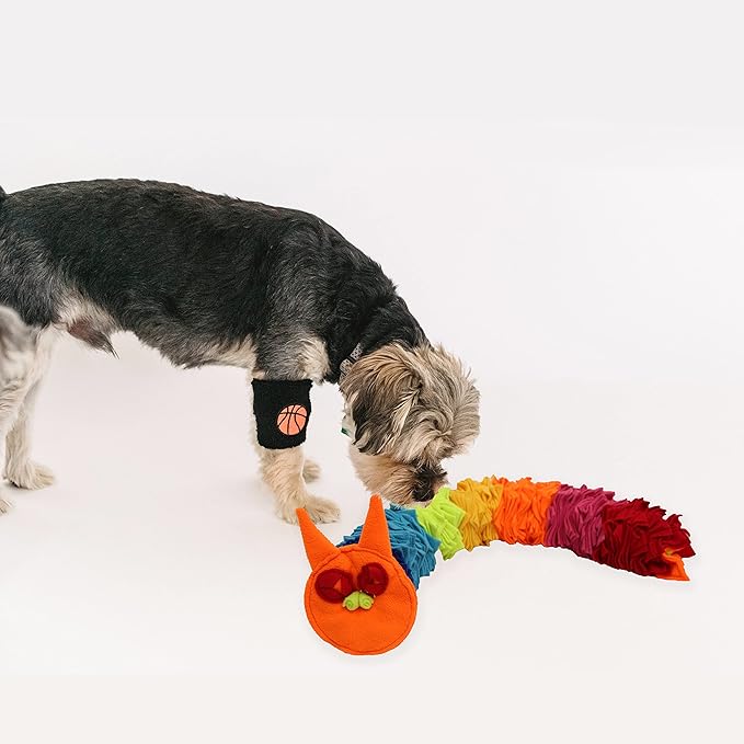 Snuffle Ball Rainbow Snuffle Snake Puzzle Toy for Dogs Puppy Treat Dispensing Toys Foraging Snuffle Mat Interactive Slow Feeder Dog Toys for Any Size