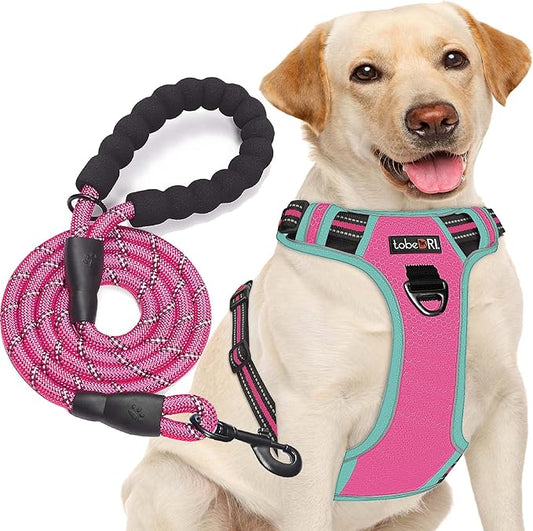 No Pull Dog Harness Adjustable Reflective Oxford Easy Control Medium Large Dog Harness with A Free Heavy Duty 5ft Dog Leash