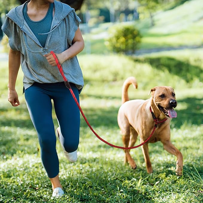 TwoEar Slip Leads for Dogs, 1/2" x 6FT Slip Leash for Large Dogs with Highly Reflective Threads, Comfortable Strong Rope Slip Leads, No Pull Pet Training Leash, Red