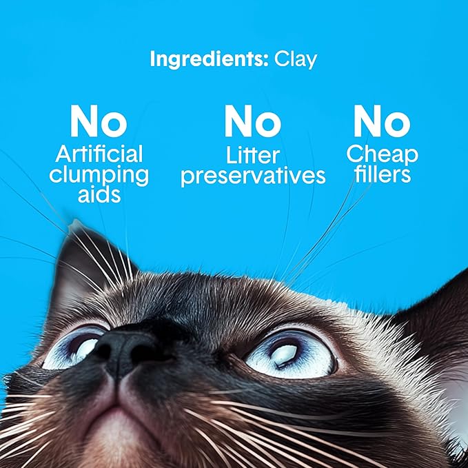 Boxie Unscented 30 Day Odor Control Clumping Clay Cat & Kitty Litter 28 lb, 99.9% Dust-Free, Hard Flat Top Clumps, No Fragrances No Fillers, Long-Lasting, Easy to Scoop
