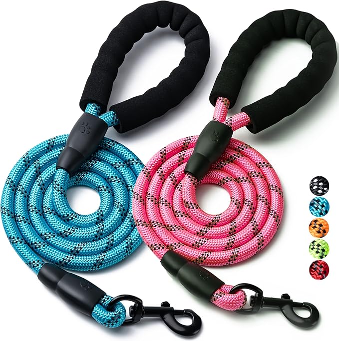 2 Pack Dog Leash, 4/5//6 FT Heavy Duty Nylon Rope Pet Leashes with Comfortable Padded Handle, Reflective Dog Leashes for Small Medium and Large Dogs (5FT-3/8,Blue/Pink)