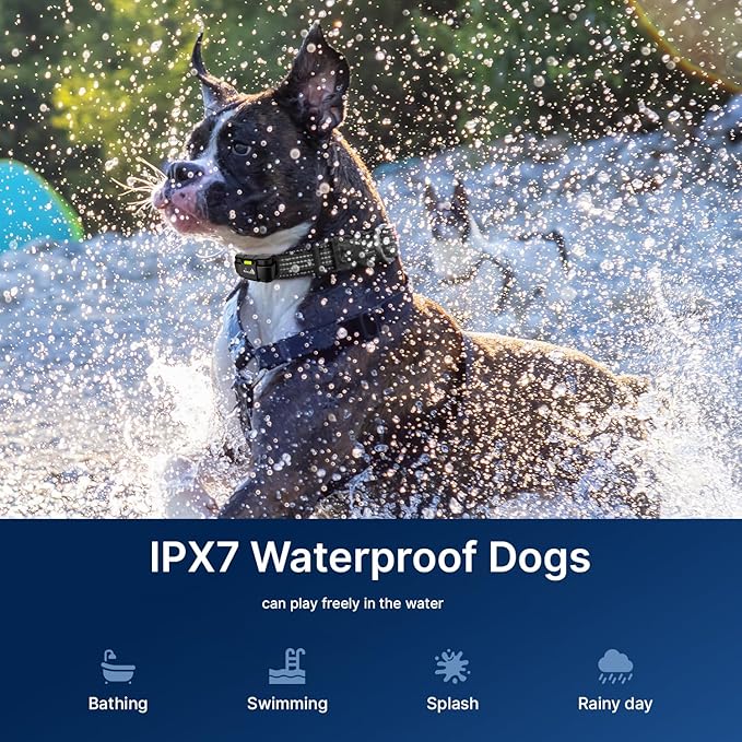 My Pet Command Long Range Dog Training Collar with Remote 1 Mile/5280 Ft, Safe Shock, Vibrate, Tone, Flashing Beacon Lights, Rechargeable Waterproof Remote Device, add up to 2 Collars. 2 Collar Pack