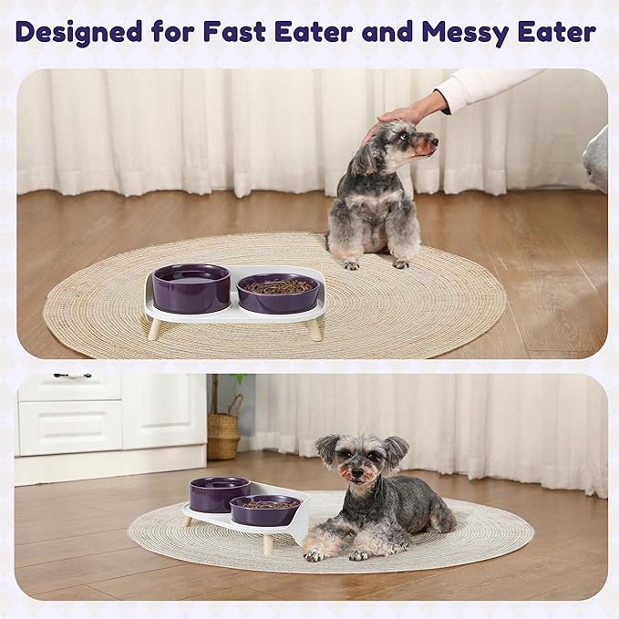 Elevated Slow Feeder Dog Bowls - Ceramic Food and Water Bowl Set with Stand - Raised Pet Dishes for Small and Medium Sized Dogs