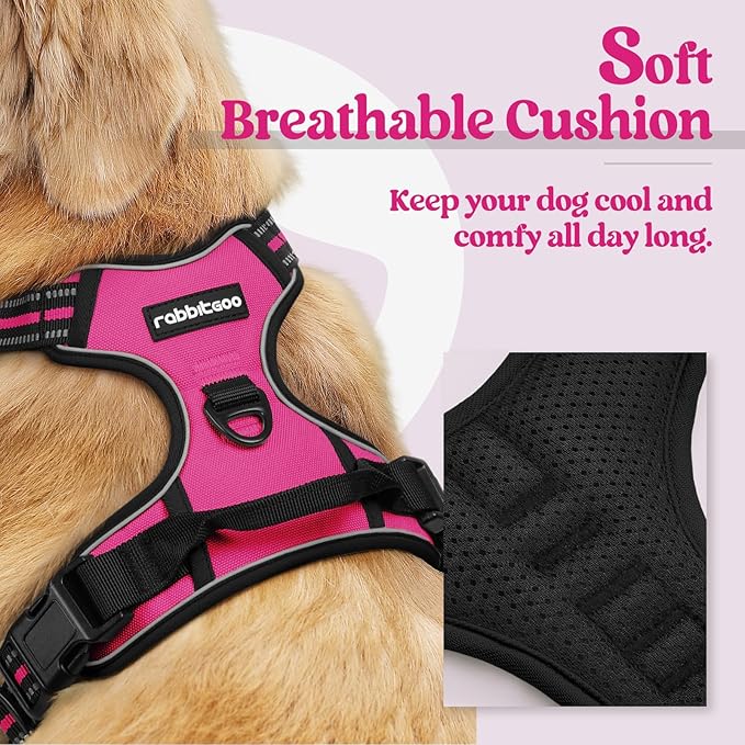 rabbitgoo Dog Harness No Pull with 2 Leash Clips, Adjustable Soft Padded, Reflective Oxford No Choke Pet Vest with Easy Control Handle for Medium Sized Dogs, Hot Pink, M