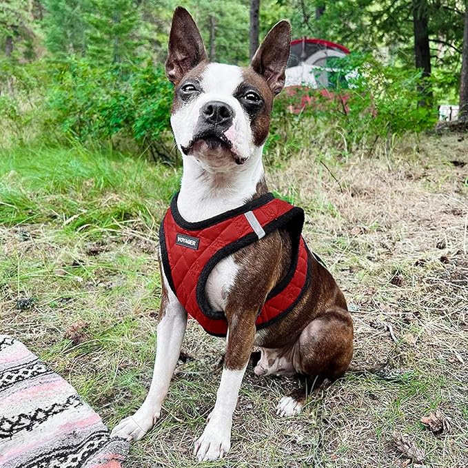 Best Pet Supplies - All Weather Mesh/Plush, Reflective, No Pull Harness for Small, Medium Dogs, Cats - Secure with Hook & Loop Fastener, Buckle, Double D-Rings - Red Plush, XS