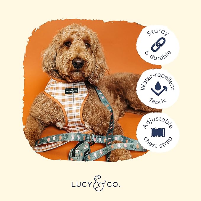 Lucy & Co. Cute Reversible Dog Harness Walking Halter - Best Designer Pet Harnesses for XS - XL Dogs - Padded Adjustable Vest for Easy Walking (X-Small, Neutral Brown Plaid with Blue Trees)
