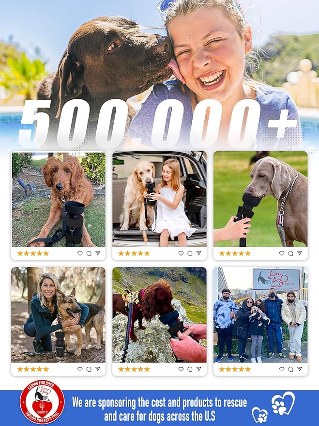 lesotc Dog Water Bottle, Portable Water Dispenser with Water Bowl, Leak Proof Pet Travel Squeeze Bottle, Puppy Essentials Dog Stuff Accessories for Outdoor Walking, Hiking, Camping Doggie Gift