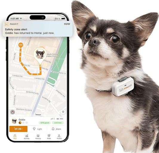 Pawfit Lite for Small Dogs 4g GPS Tracker | Real Time Tracking | Activity Monitoring |Location History | Unlimited Range | Charcoal Grey