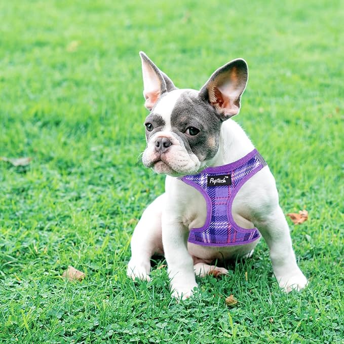 PUPTECK Dog Harness and Leash Set for Small Medium Dogs No Pull Step-in Soft Mesh Puppy Cat Vest Harnesses Reflective at Night, Plaid Pattern Purple L