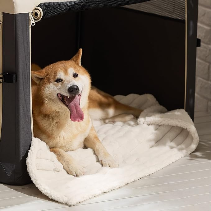 Bedsure Waterproof Dog Blankets for Large Dogs - Soft Puppy Cat Blanket Corduroy Fleece for Couch Protector Washable, Cozy Calming Reversible Furniture Protection for Pet,40"x50", Cream