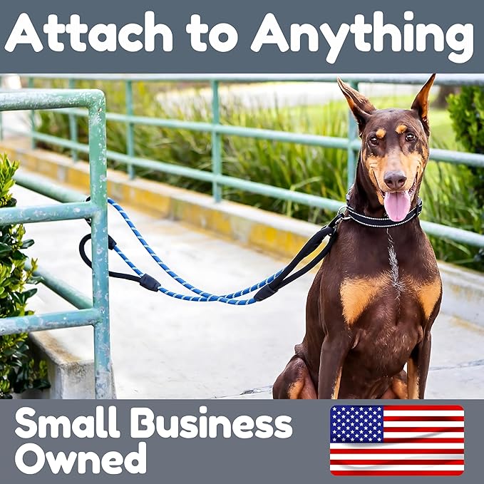 6 Foot Dog Leash, Two Extra Padded Handles, Locking Carabiner Clip, Reflective for Night Visibility, Weatherproof, Heavy Duty Rope Leash, Roam Gear (Blue)