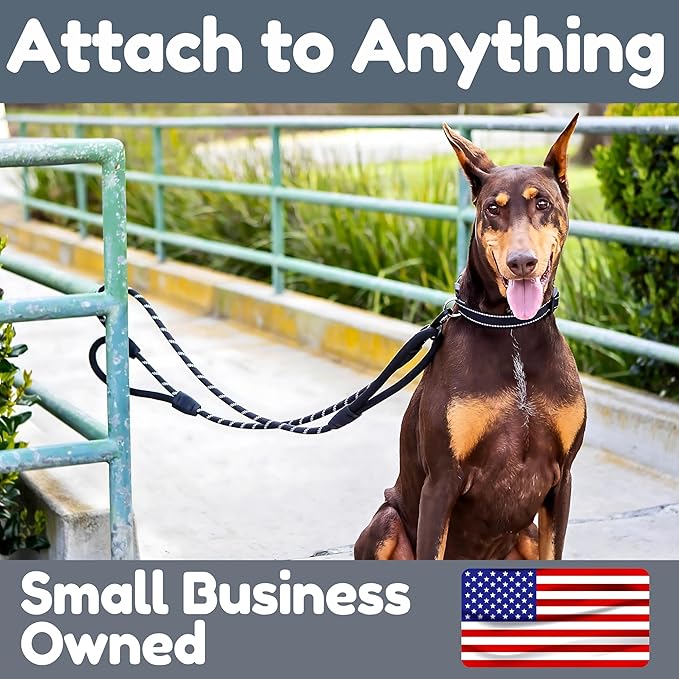 6 Foot Dog Leash, Two Extra Padded Handles, Locking Carabiner Clip, Reflective for Night Visibility, Weatherproof, Heavy Duty Rope Leash, Roam Gear (Black)