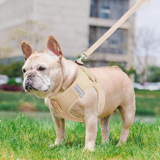 PUPTECK Dog Harness and Leash Set for Small Medium Dogs No Pull Step-in Soft Mesh Puppy Cat Vest Harnesses Reflective at Night, Denim Burlywood S