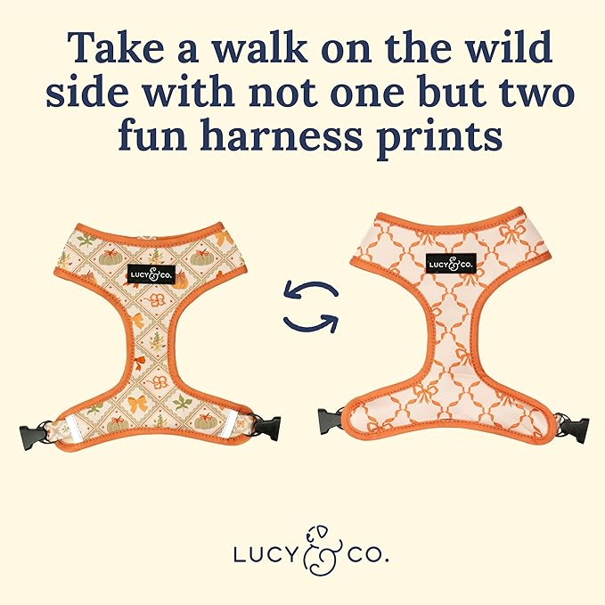 Lucy & Co. Cute Reversible Dog Harness Walking Halter - Best Designer Pet Harnesses for XS - XL Dogs - Padded Adjustable Vest for Easy Walking-Large-Orange Cream Pumpkin