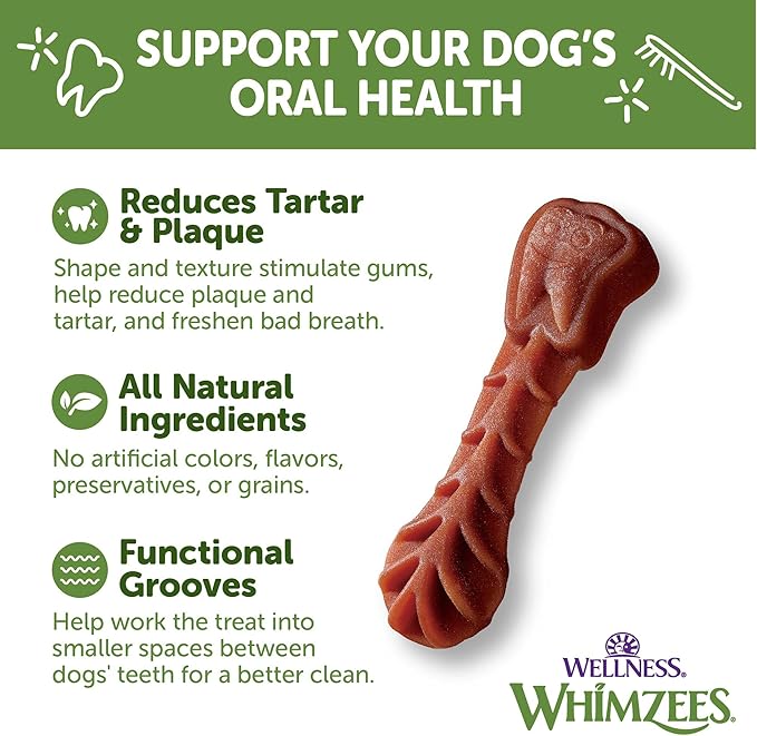 WHIMZEES Wellness Brushzees Dog Dental Treats, Natural Chews, Extra Small Size Stick, (48 Count)