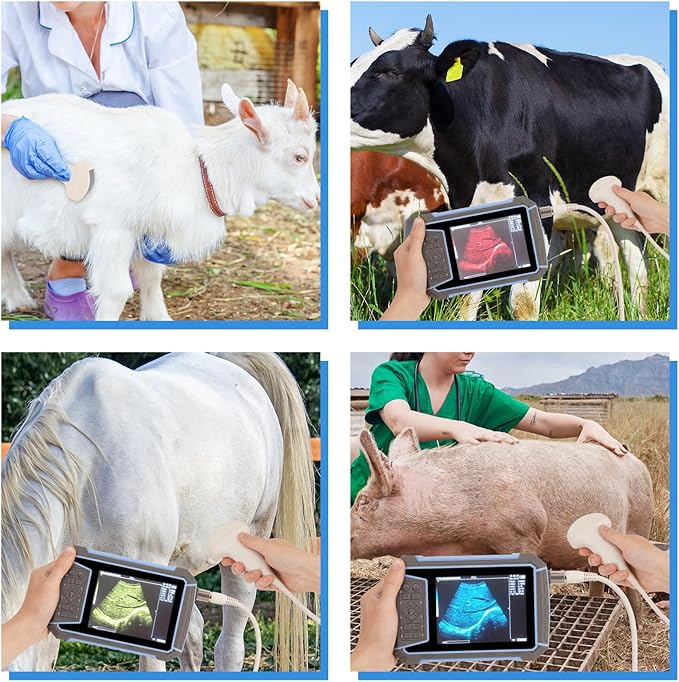 2025 Upgraded Veterinary Ultrasound Machine - with 3.5MHz Convex Probe, Pregnancy Portable Handheld Scanner B-Ultra Sound for Cattle, Horse, Pigs, Sheep, Cats, Dogs, Rabbit, Fish