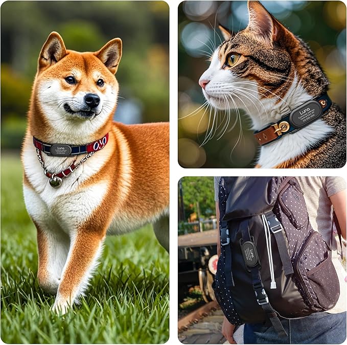 Personalized Dog Collar Holder(2 Pack) for Galaxy Smarttag2,Customized with Name and Phone Number for Pet Cat,Waterproof Silicone Protective Cover Case Accessory for Samsung Galaxy Smart tag2 (Black)