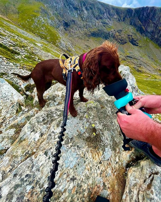 Lesotc Dog Water Bottle, Portable Water Dispenser with Bowl, Leak Proof Pet Travel Squeeze Bottle, Puppy Essentials Dog Stuff Accessories for Outdoor Walking, Hiking, Camping