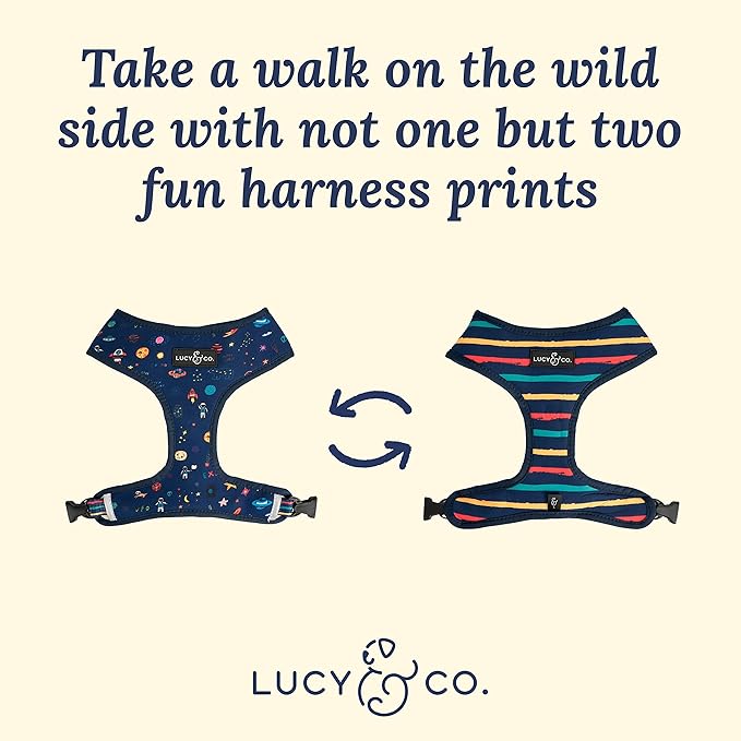 Lucy & Co. Space Doodle, Cute Reversible Dog Harness Walking Halter - Best Designer Pet Harnesses for Medium Dogs - Padded Adjustable Vest for Easy Walking (X-Small)