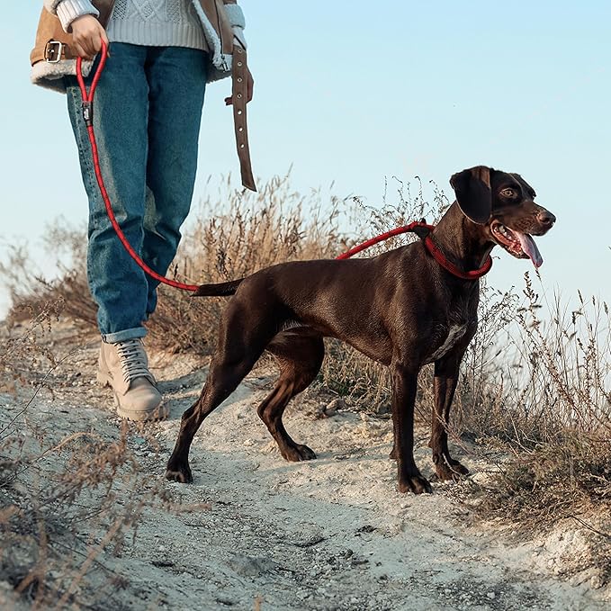 TwoEar Dog Slip Rope Leash - 6FT Heavy Duty Training Leash with Reflective Threads for Small to Large Dogs (Slim, Red)
