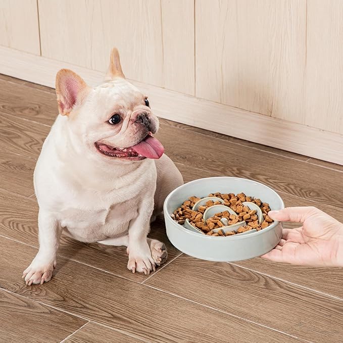 vancasso Slow Feeder Dog Bowl, 0.6 Cups Ceramic Dog Food Dish for Fast Eaters Small Breed, Puzzle Bowl for Small Dogs and Cats, Grayish Cyan