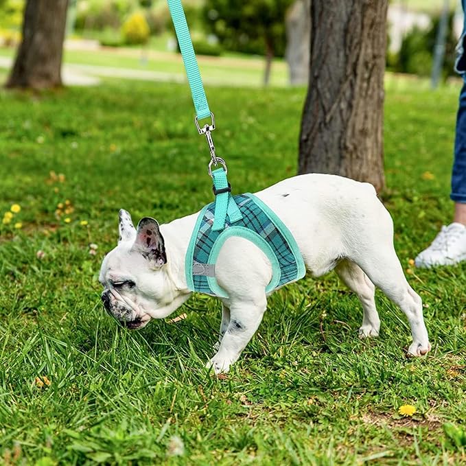 PUPTECK Adjustable Dog Harness Collar and Leash Set Step in No Pull Pet Harness for Small Medium Dogs Puppy and Cats Outdoor Walking Running, Soft Mesh Padded Reflective Vest Harnesses, Lake Green XL