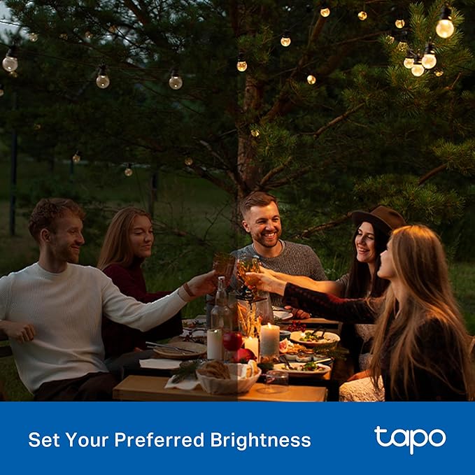 Tapo Outdoor Smart Dimmer Plug for Outdoor Lights, Matter, App Control, IP65 Weather Resistant, Works with Siri, Alexa, Google, ETL Certified, Energy Monitoring,150WLED/CFL, 2.4GHZ WiFi Only, P430M