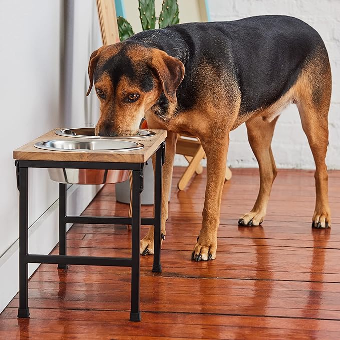 Mango Wood Dog Bowl Stand - Elevated Pet Feeder with 2 Stainless Steel Bowls - Raised Food and Water Dish Set for Dogs and Cats, Available in 4 Sizes, Pet Dining Station, Large/48oz