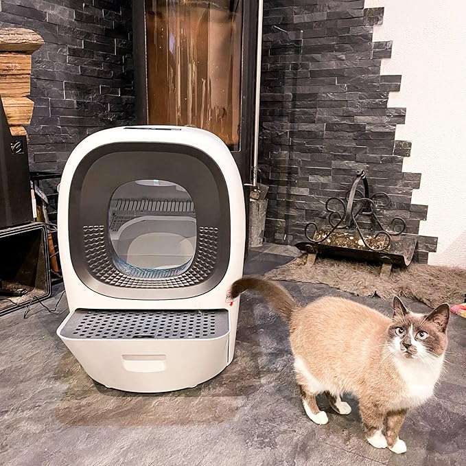 80L Auto Refill Self-Cleaning Litter Box AI Self-Refilling Robot Automatic for Multiple Cats(3-20lb) - Rake Design ScoopFree, Safety Sensors, Anti-Leakage, Odor Control, 5G WiFi App, XL